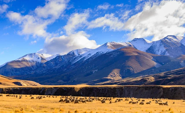 Parque Nacional Arthur's Pass