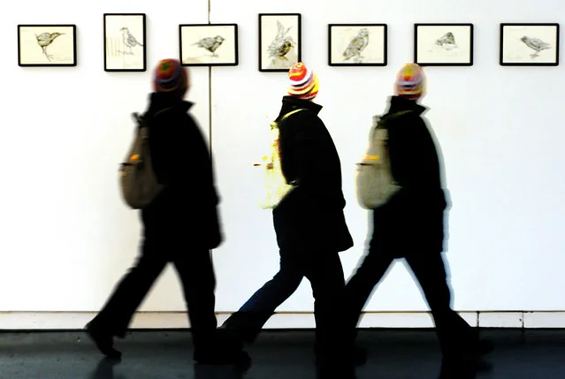 Paseo de Galerías
