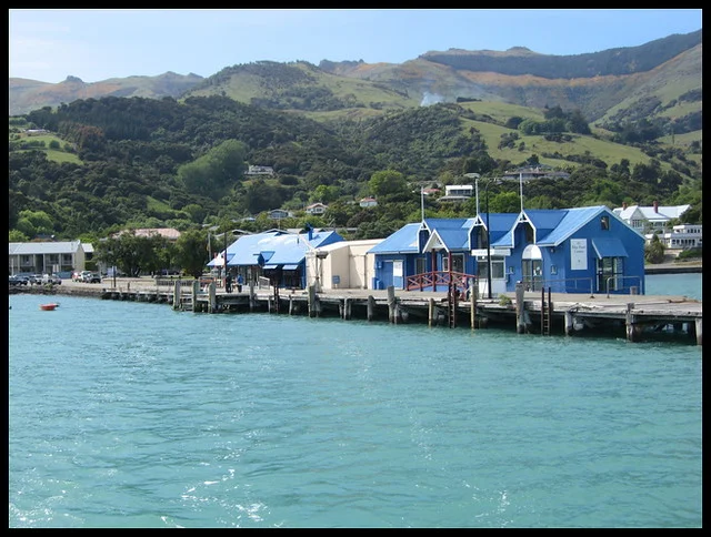 Puerto de Akaroa - Thyssen Tour