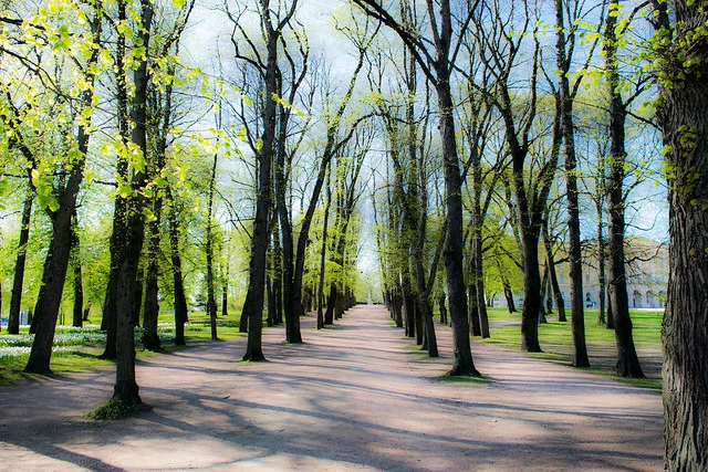Parque del Palacio de Oslo (Slottsparken)