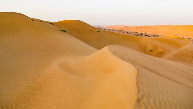 Arenas Wahiba (Arenas Sharqiyah)