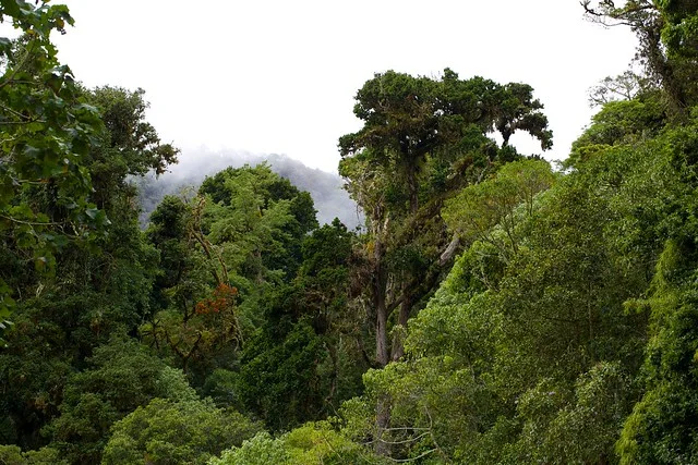 Parque Nacional Volcán Barú