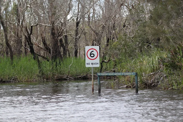 Everglades de Noosa