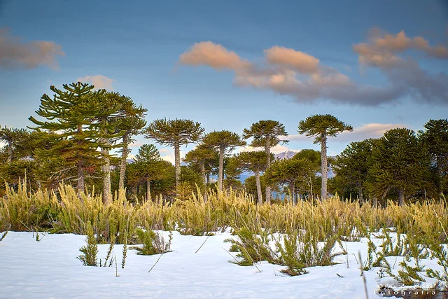 Parque de la Reserva