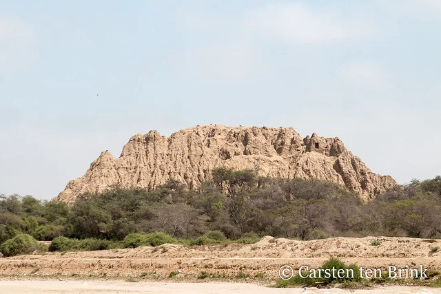 Batán Grande (Complejo Arqueológico Sicán)