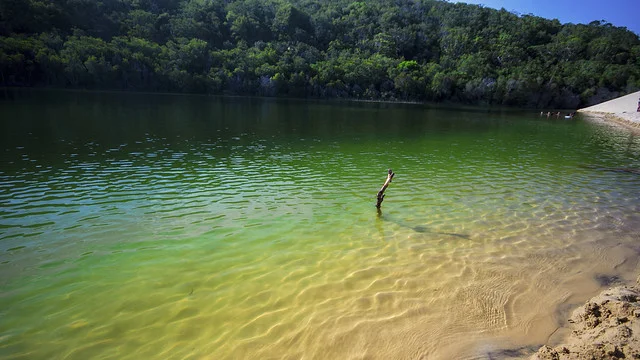 Lago Wabby