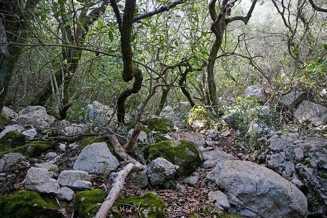 Parque Natural de Arrábida
