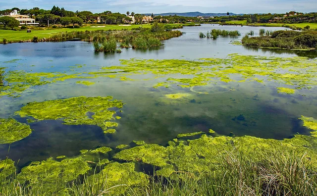 Parque Natural de Ria Formosa
