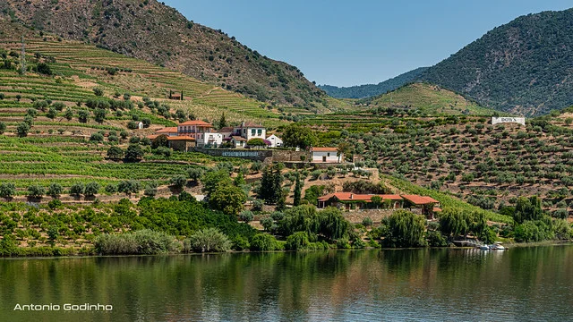 Bodega Quinta do Bomfim