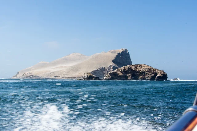 Isla Palomino