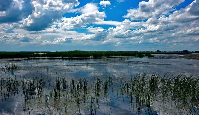 Parque Natural Comana