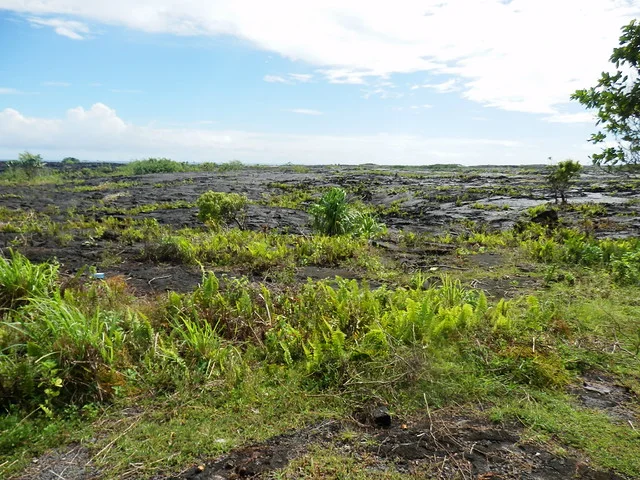 Campos de lava de Sale'aula