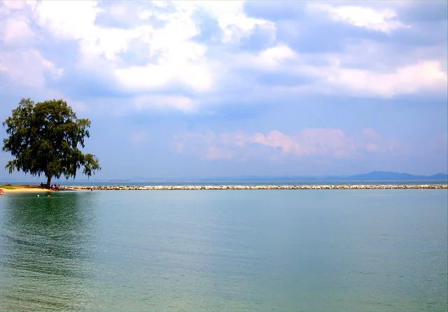 Isla Kusu