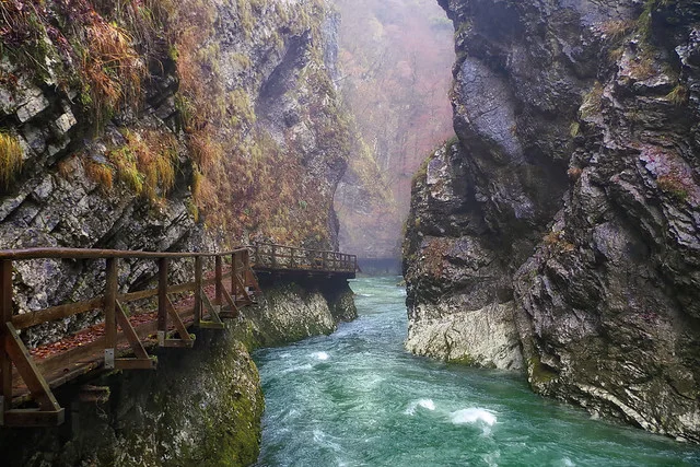 Garganta de Vintgar (Soteska Vintgar)