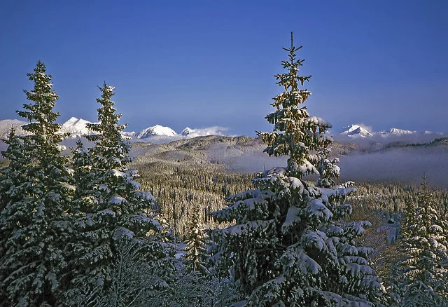 Meseta de Pokljuka