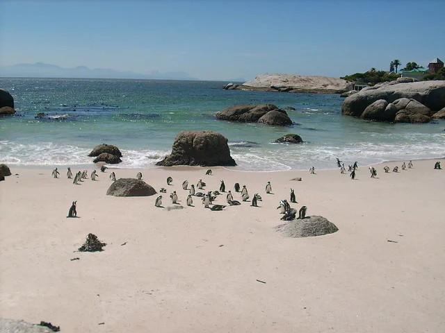 Playa Boulders