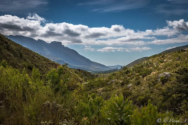 Reserva Natural Jonkershoek