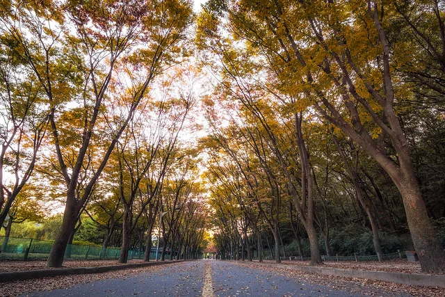 Parque Grande de Incheon