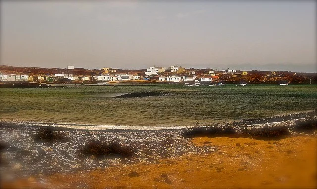 Majanicho