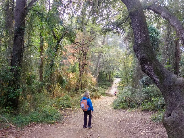 Parque de Collserola