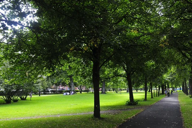 Parque del Rey