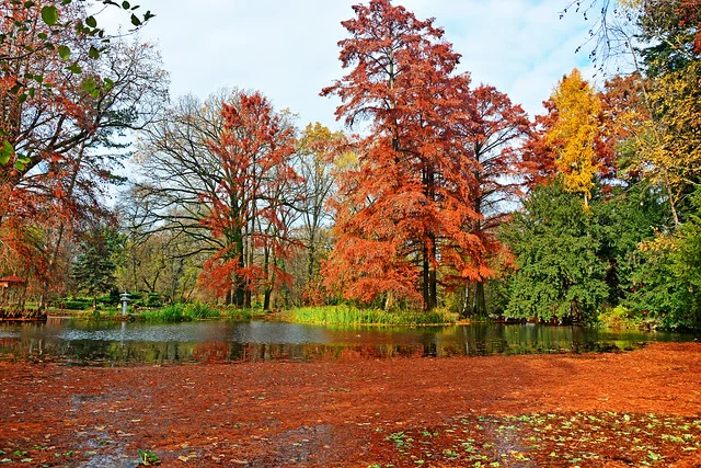 Jardines Botánicos
