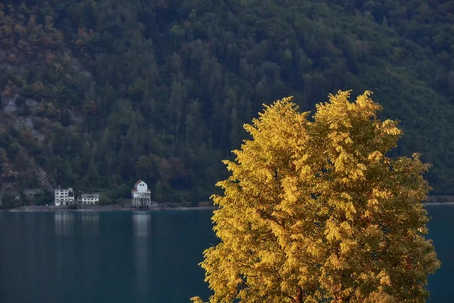 Lago Walen (Walensee)