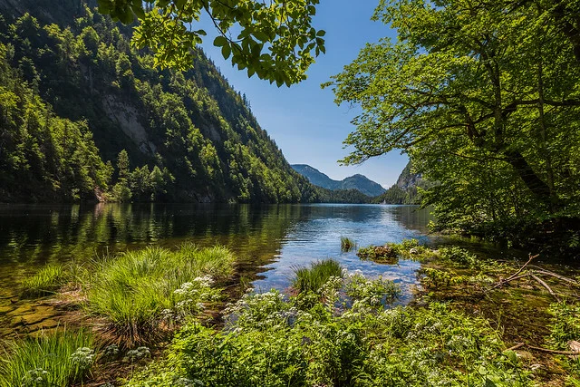 Distrito de los Lagos Austríacos (Salzkammergut)