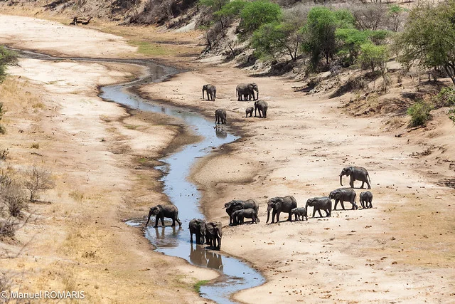 Parque Nacional Tarangire