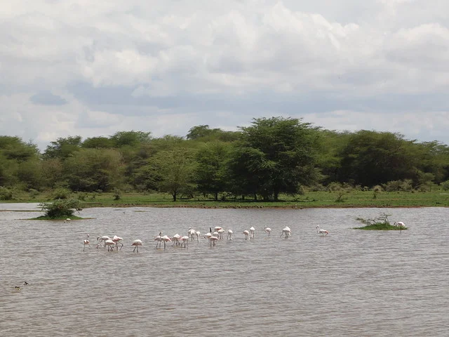 Parque Nacional del Lago Manyara