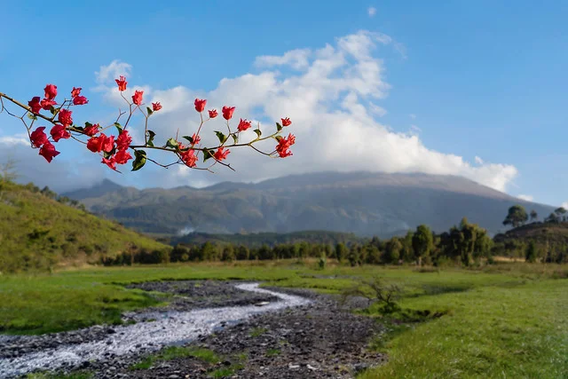 Monte Meru