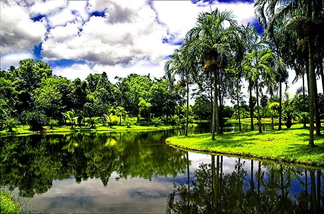 Jardín Botánico Tweechol