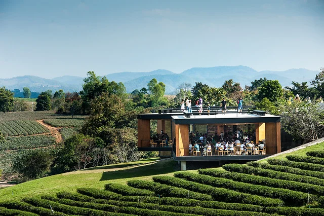 Plantación de Té Choui Fong