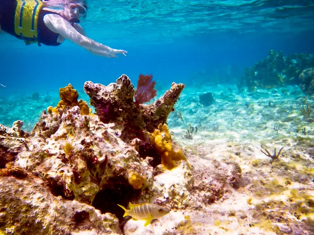 Arrecife del Hombre Muerto (Bahía del Paraíso)