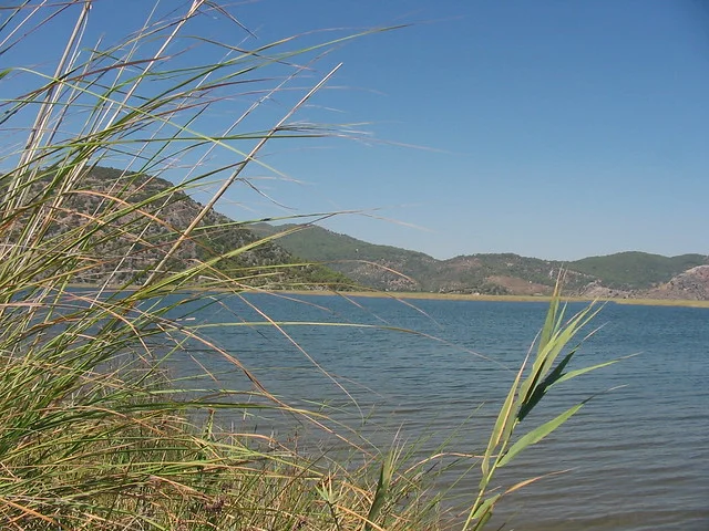 Dalyan