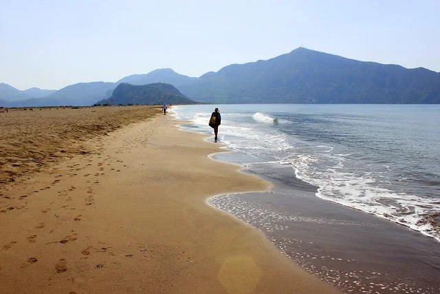 Playa Iztuzu (Playa de las Tortugas)