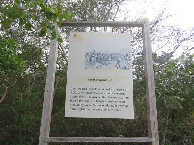 Plantación Cheshire Hall