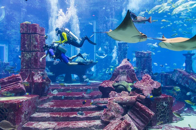 Acuario The Lost Chambers