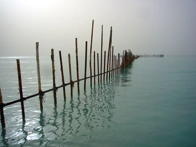 Isla Saadiyat