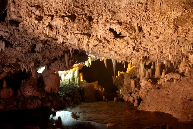 Cueva de Harrison