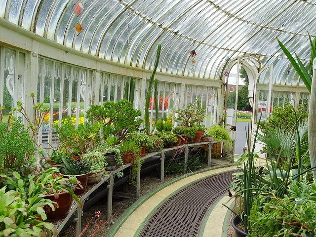 Jardines Botánicos de Belfast y Casa de Palmas
