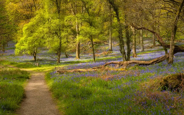 Parque Nacional de Loch Lomond y los Trossachs