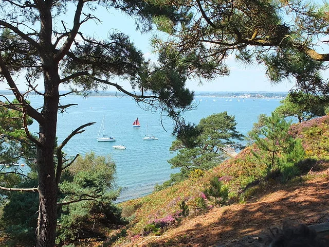 Isla Brownsea
