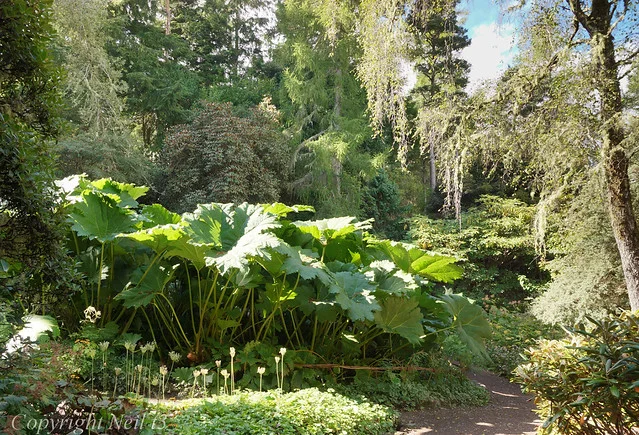 Inverewe (Jardín y finca de Inverewe)