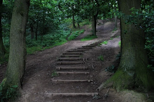 Parque Familiar de Aventuras Lightwater Valley