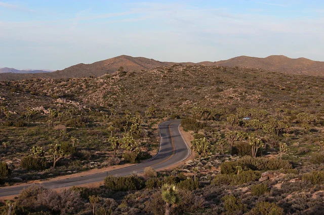 Parque Nacional de Joshua Tree