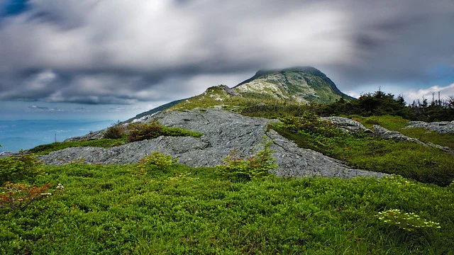 Monte Mansfield