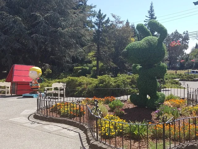 Museo Charles M. Schulz
