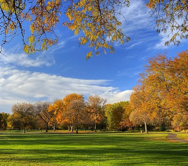 Parque Ann Morrison