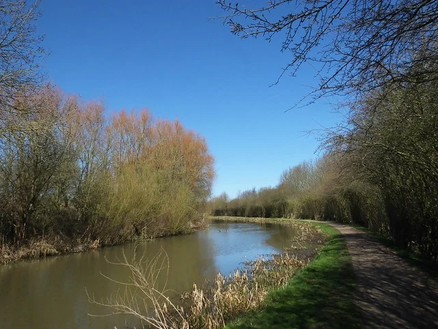 Parque del Canal